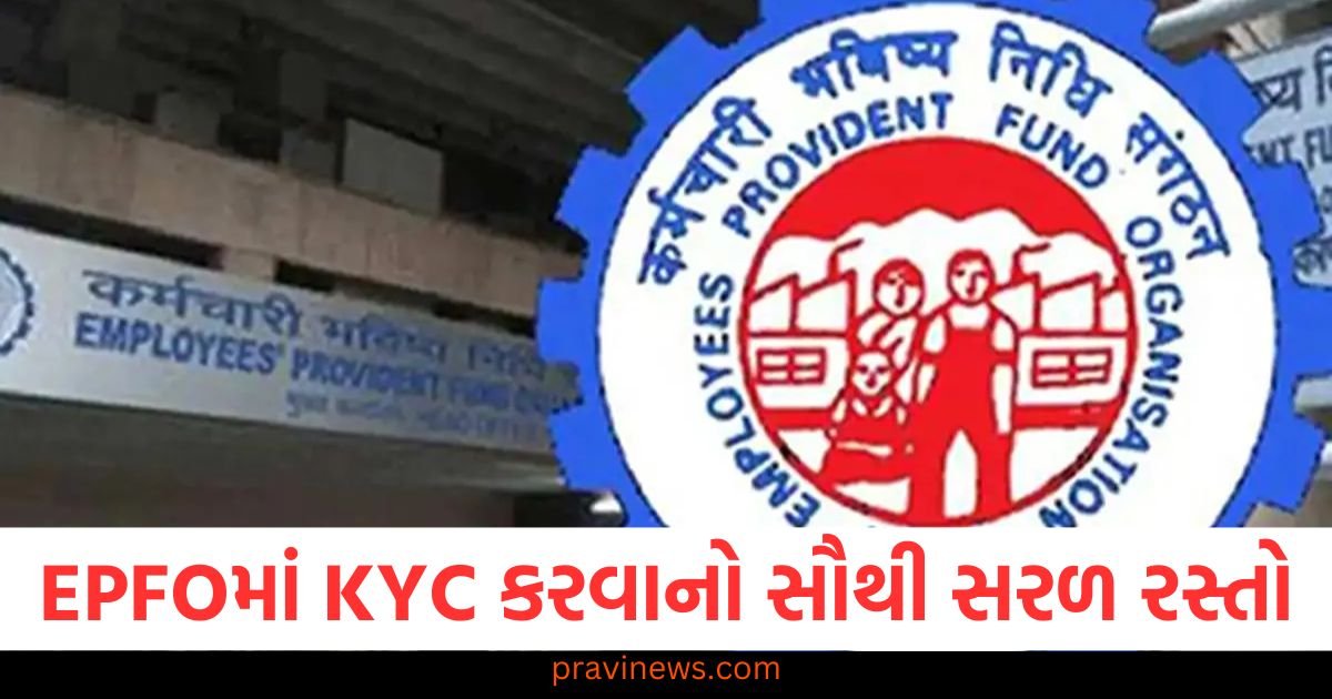 EPFOમાં KYC કરવાનો સૌથી સરળ રસ્તો, સંપૂર્ણ પ્રક્રિયા અહીં જુઓ https://www.pravinews.com/lifestyle/health-fitness/which-people-are-not-bitten-by-mosquitoes-know-which-blood-group-is-their-enemy-122397
