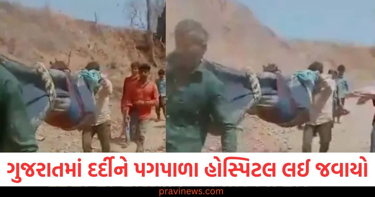 વિકસિત ગુજરાતમાં દર્દીને 10 KM પગપાળા હોસ્પિટલ લઈ જવાયો, સ્ટેચ્યુ ઓફ યુનિટી પાસેની ઘટના 1 વિકસિત ગુજરાતમાં દર્દીને 10 KM પગપાળા હોસ્પિટલ લઈ જવાયો, સ્ટેચ્યુ ઓફ યુનિટી પાસેની ઘટના https://www.pravinews.com/gujarat-news/gujarat-patient-was-carried-10-km-on-foot-to-hospital-insident-near-by-statue-of-unity-121276