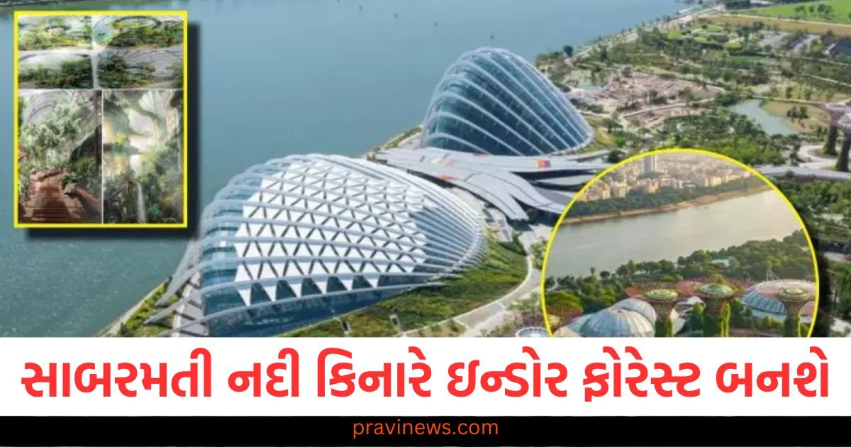 સાબરમતી નદી કિનારે ઇન્ડોર ફોરેસ્ટ બનશે, AMC નું આયોજન શું છે તે જાણો https://www.pravinews.com/gujarat-news/gujarat-railway-big-gift-to-ambaji-devotees-taranga-hill-ambaji-abu-road-new-line-project-121496