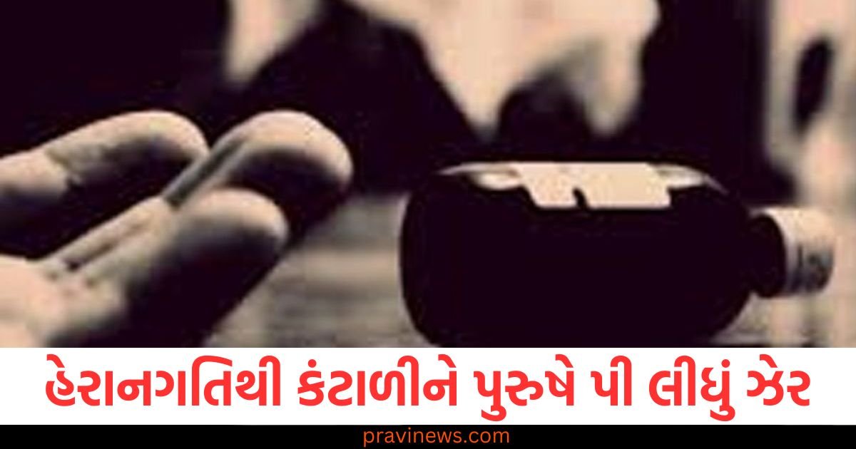 દુબઈમાં રહેતી પત્ની અને તેના પ્રેમી તરફથી ધમકીઓ... હેરાનગતિથી કંટાળીને પુરુષે પી લીધું ઝેર https://www.pravinews.com/gujarat-news/gujarat-weather-update-three-days-yellow-alert-for-heatwave-121284