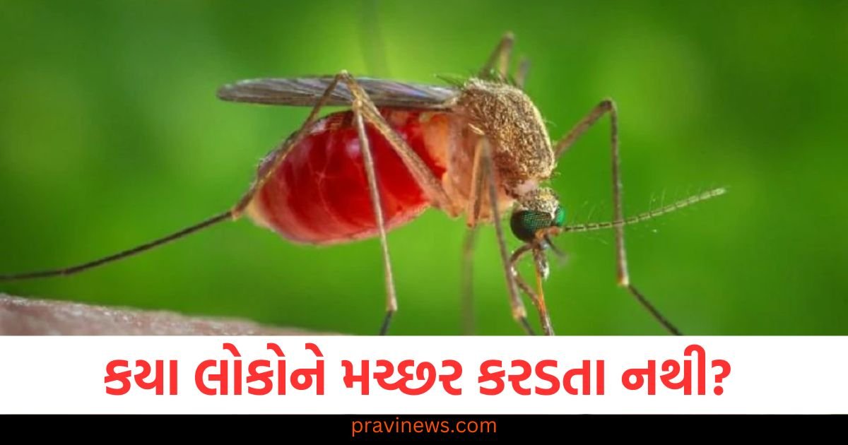 કયા લોકોને મચ્છર કરડતા નથી? જાણો કયું બ્લડ ગ્રુપ તેમનું દુશ્મન છે https://www.pravinews.com/world-news-in-gujarati/pahalgam-terrorist-attack-case-reaches-supreme-court-pil-filed-demanding-safety-of-tourists-122401