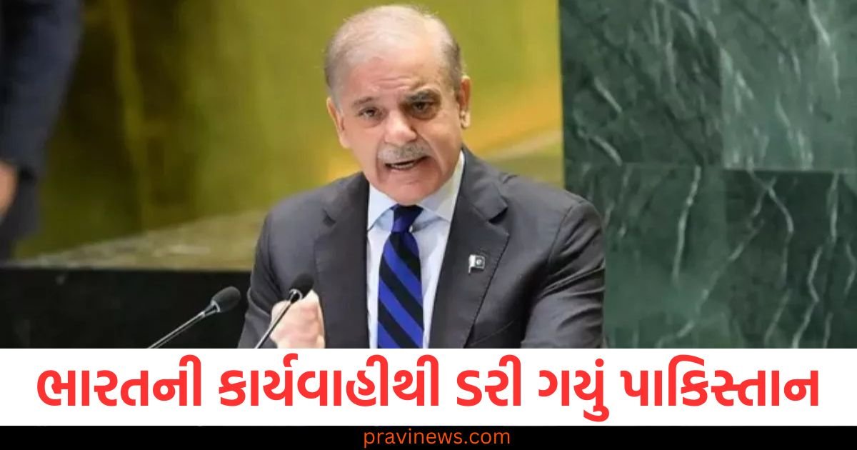 ભારતની કાર્યવાહીથી ડરી ગયું પાકિસ્તાન, શાહબાઝ સરકારે આજે બોલાવી CCIની બેઠક, સિંધુ જળ કરાર પર થશે ચર્ચા https://www.pravinews.com/world-news-in-gujarati/kaushambi-major-accident-5-killed-as-earthen-mound-collapses-123020