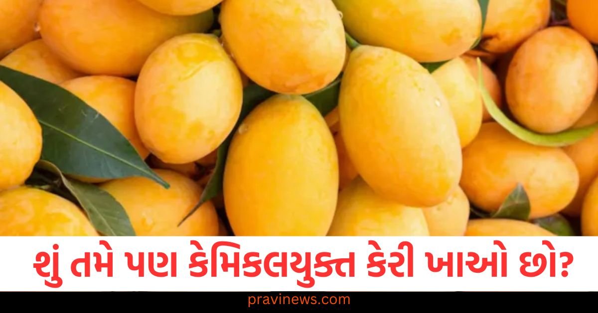 શું તમે પણ કેમિકલયુક્ત કેરી ખાઓ છો? આ રીતે જાણો https://www.pravinews.com/technology/whatsapp-is-bringing-new-feature-for-iphone-users-transcript-of-voice-messages-122286