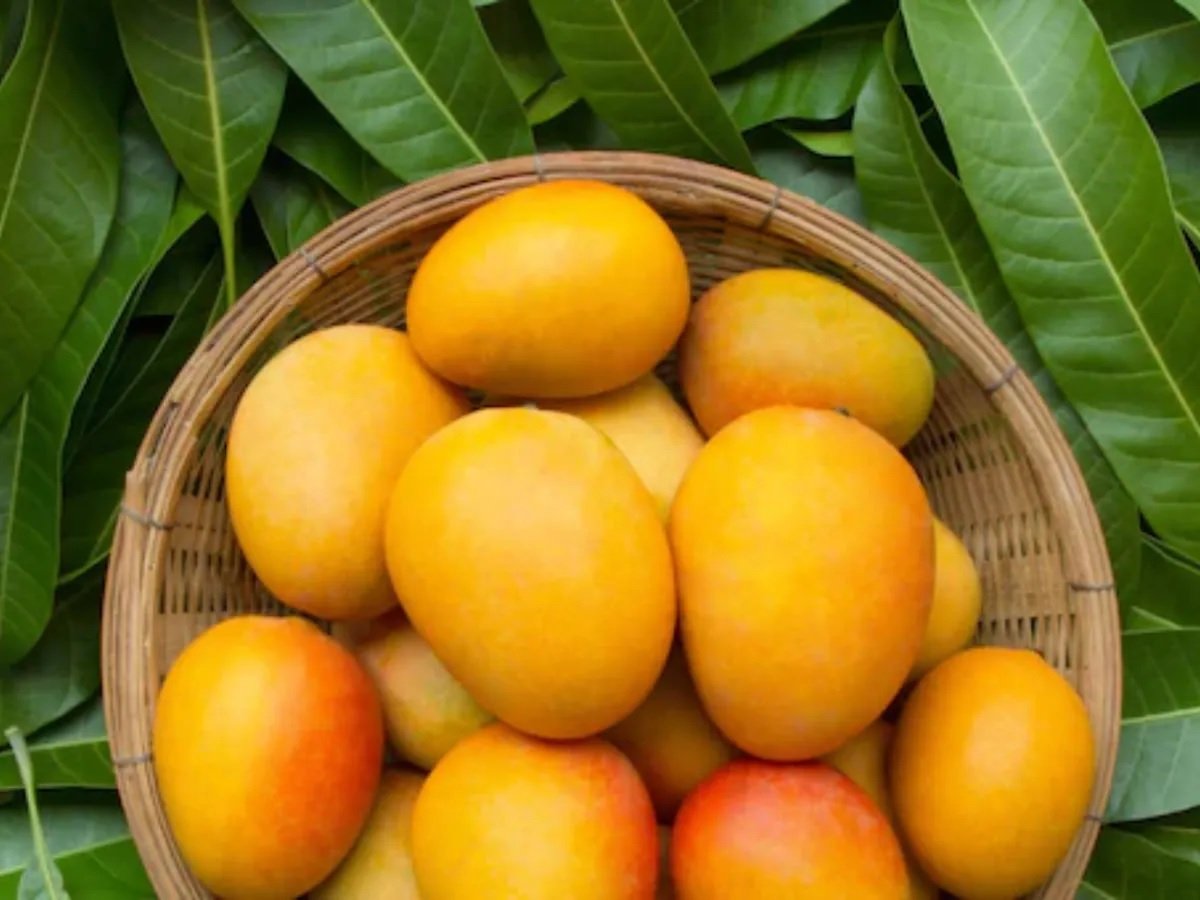 શું તમે પણ કેમિકલયુક્ત કેરી ખાઓ છો? આ રીતે જાણો https://www.pravinews.com/food/simple-ways-identify-chemically-ripened-mangoes-dip-test-check-skin-colour-122282