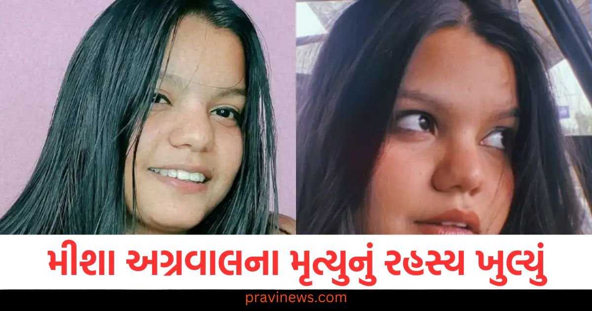 મીશા અગ્રવાલના મૃત્યુનું રહસ્ય ખુલ્યું, જીજાએ જણાવ્યું કે 'ઇન્સ્ટાગ્રામ' એ પ્રભાવકનો જીવ કેવી રીતે લીધો? https://www.pravinews.com/sports/prithvi-shaw-named-amongst-the-8-icon-players-unveiled-upcoming-season-of-the-t20-mumbai-league-2025-123219