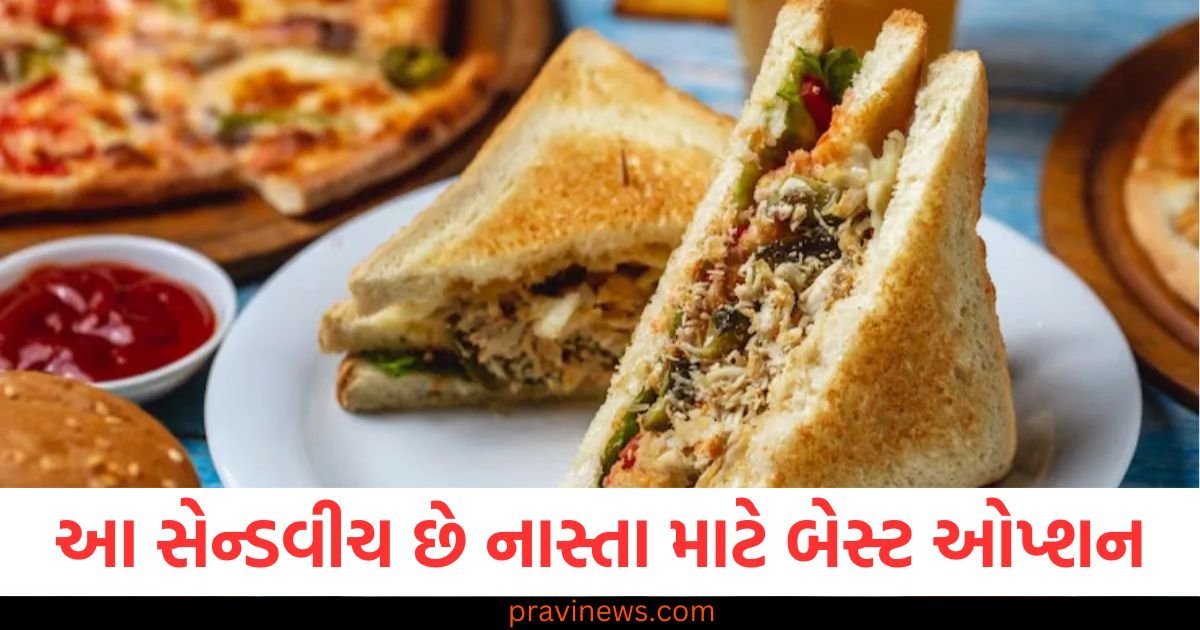 આ સેન્ડવીચ છે પ્રોટીનથી ભરપૂર અને નાસ્તા માટે બેસ્ટ ઓપ્શન, જાણો સરળ રેસીપી https://www.pravinews.com/world-news-in-gujarati/delhi-igi-airport-police-fake-visa-racket-exposed-arrested-agent-of-punjab-121888