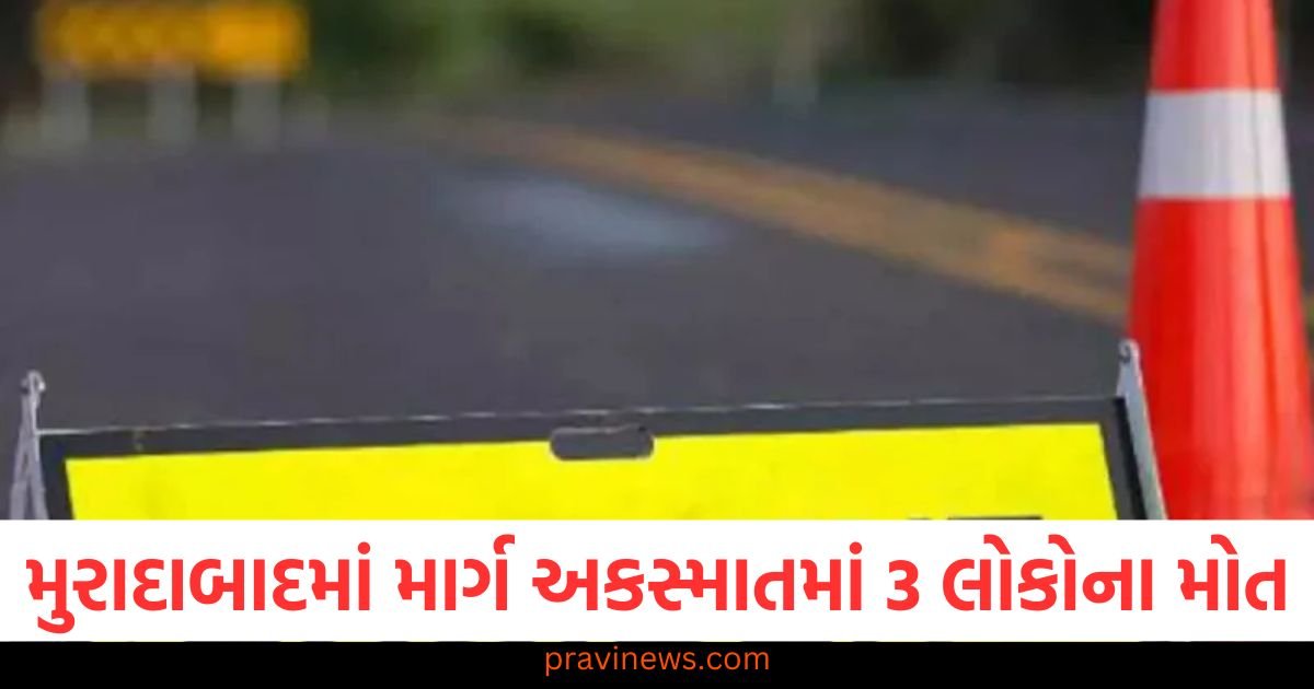 મુરાદાબાદમાં માર્ગ અકસ્માતમાં પતિ, પત્ની અને પુત્રી સહિત 3 લોકોના મોત, ટ્રેક્ટર-ટ્રોલી કારણભૂત https://www.pravinews.com/sports/prithvi-shaw-named-amongst-the-8-icon-players-unveiled-upcoming-season-of-the-t20-mumbai-league-2025-123219