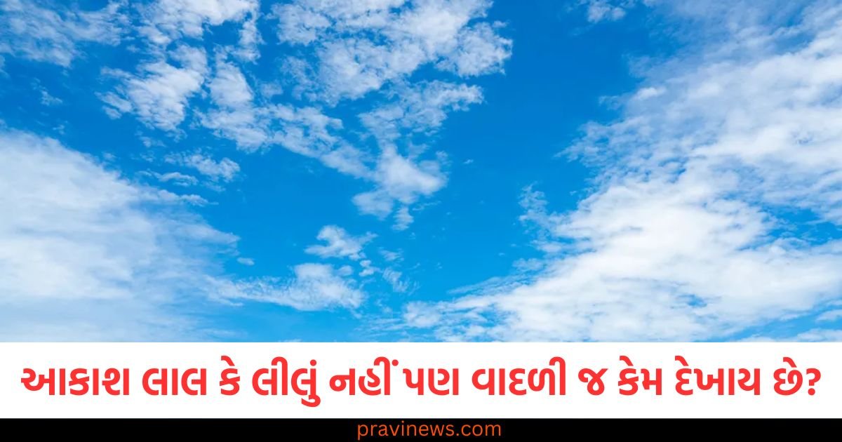 આકાશ લાલ કે લીલું નહીં પણ વાદળી જ કેમ દેખાય છે? આ પ્રશ્નનો જવાબ ખૂબ જ રસપ્રદ છે https://www.pravinews.com/technology/realme-14t-india-launch-set-for-april-25-key-features-revealed-121816