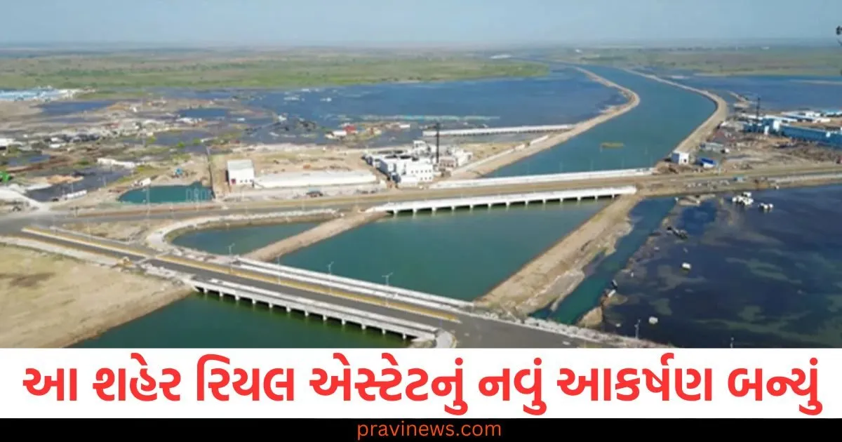 10 વર્ષમાં 10 ગણું વળતર! આ શહેર રિયલ એસ્ટેટનું નવું આકર્ષણ બન્યું. https://www.pravinews.com/politics/why-does-rahul-hate-those-who-speak-for-india-bjp-slams-congress-over-tharoor-from-all-party-delegation-list-125118