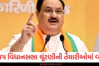 ભાજપ તમિલનાડુ વિધાનસભા ચૂંટણીની તૈયારીઓમાં વ્યસ્ત, જેપી નડ્ડાએ પાર્ટી નેતાઓને મહત્વપૂર્ણ સૂચનાઓ આપી https://www.pravinews.com/politics