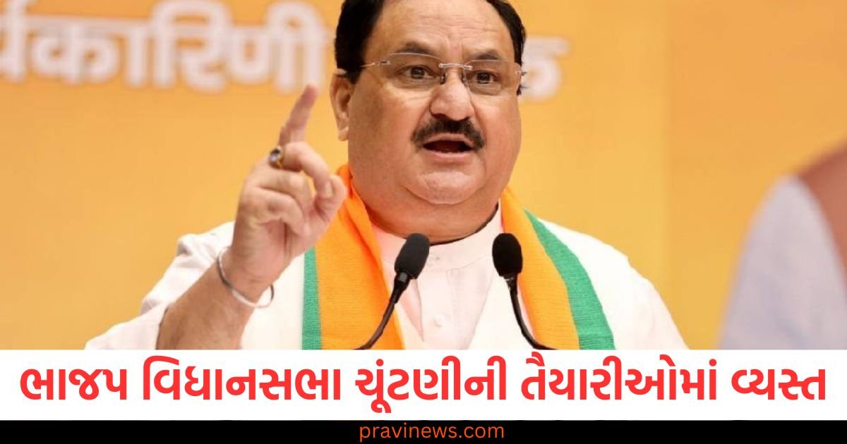 ભાજપ તમિલનાડુ વિધાનસભા ચૂંટણીની તૈયારીઓમાં વ્યસ્ત, જેપી નડ્ડાએ પાર્ટી નેતાઓને મહત્વપૂર્ણ સૂચનાઓ આપી https://www.pravinews.com/politics/bjp-busy-with-preparations-for-tamil-nadu-assembly-elections-jp-nadda-gives-important-instructions-to-party-leaders-123499