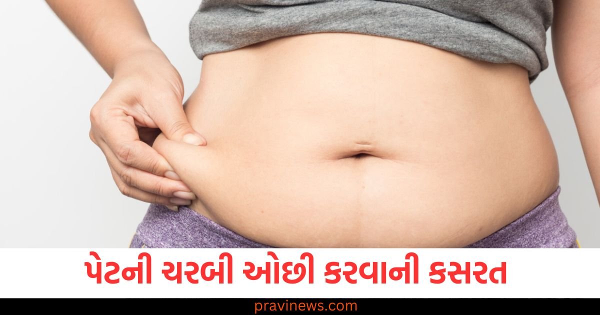 કંટાળી ગયા છો પેટની ચરબીથી! બસ રોજ કરવા માંડો આ 4 કસરતો, ગાયબ થઇ જશે પેટનો પટારો https://www.pravinews.com/world-news-in-gujarati/india-decides-to-suspend-exchange-of-all-categories-of-mail-parcels-from-pakistan-123522