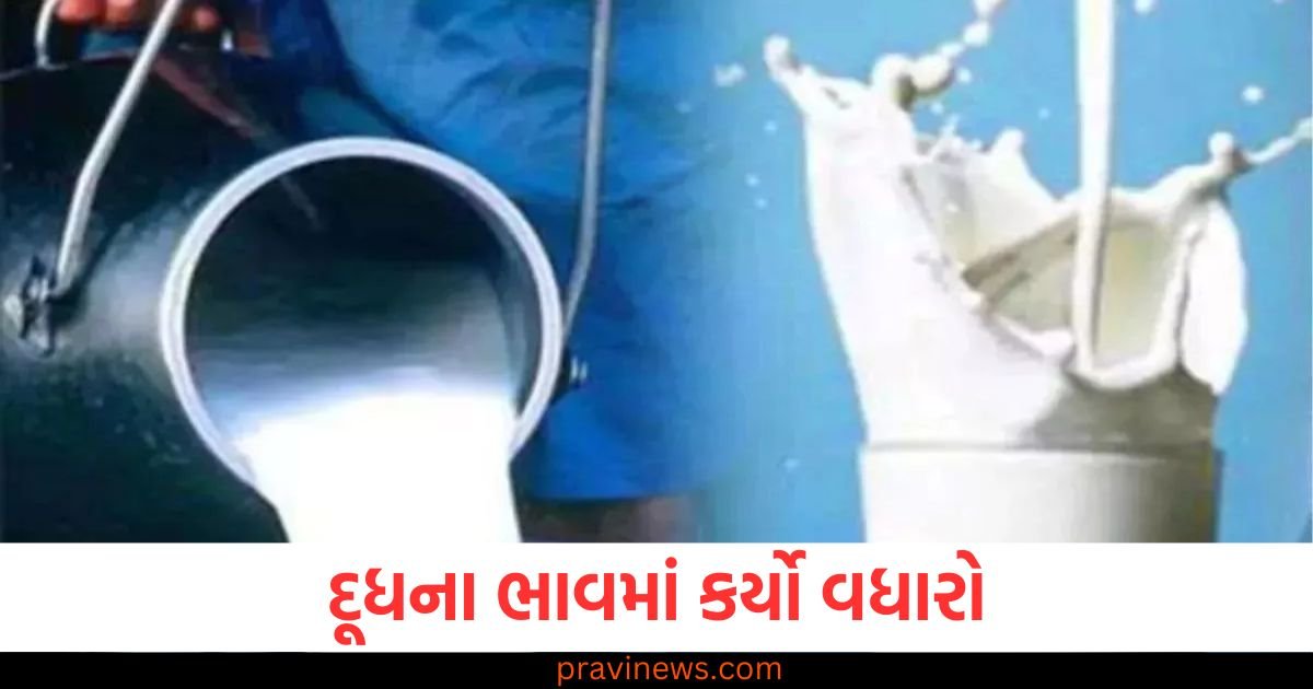 દૂધની આ કંપની ચાલી અમૂલ અને મધર ડેરીના રસ્તે, કર્યો ભાવ વધારો https://www.pravinews.com/business/domestic-investors-dominate-the-stock-market-dii-investors-surpass-fiis-and-reach-the-top-123457