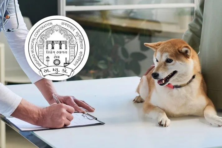 ગુજરાતમાં હવે પાલતુ કૂતરાઓનું રજીસ્ટ્રેશન 31 મે સુધીમાં ફરજિયાત, જાણો રજીસ્ટ્રેશન પ્રક્રિયા 3 ગુજરાતમાં હવે પાલતુ કૂતરાઓનું રજીસ્ટ્રેશન 31 મે સુધીમાં ફરજિયાત, જાણો રજીસ્ટ્રેશન પ્રક્રિયા https://www.pravinews.com/gujarat-news/ahmedabad-registration-of-pet-dogs-is-now-mandatory-in-gujarat-by-may-31-know-the-process-124809