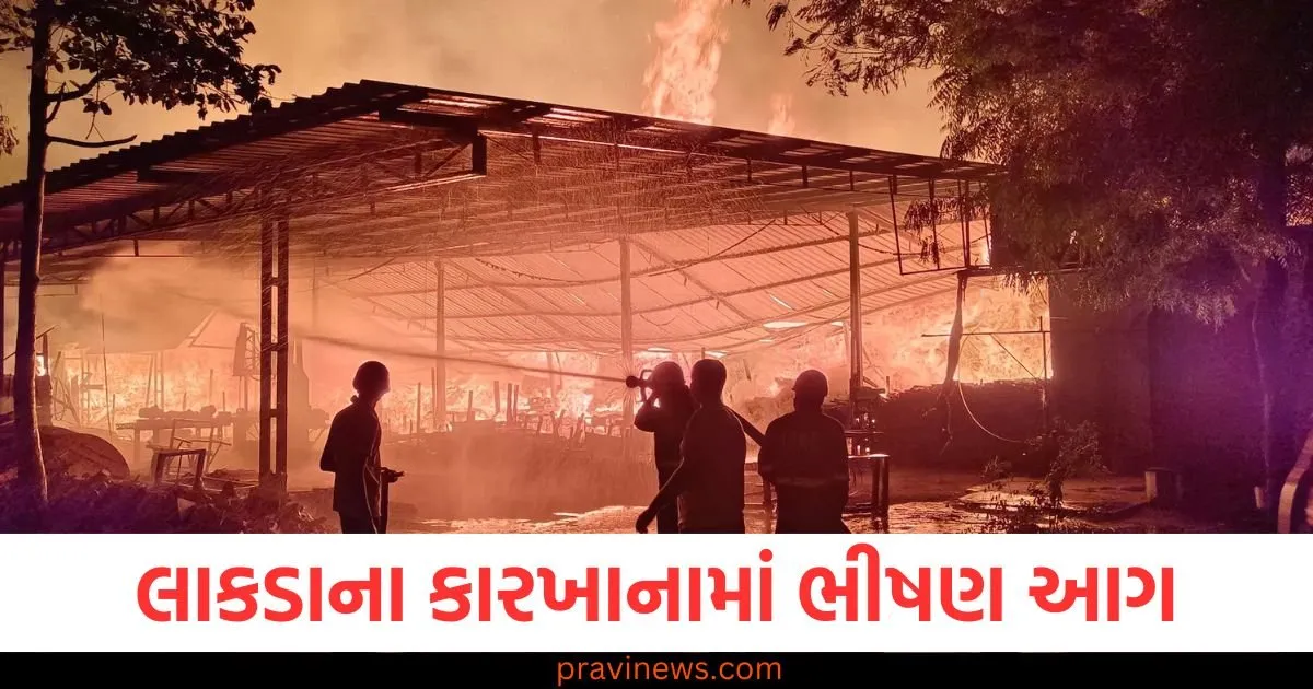 આણંદ: લાકડાના કારખાનામાં ભીષણ આગ, પાંચ ફાયર એન્જિન દ્વારા 6 કલાકની મહેનત બાદ કાબુમાં લેવામાં આવી https://www.pravinews.com/gujarat-news/anand-huge-fire-in-a-wood-factory-brought-under-control-after-6-hours-by-five-fire-engines-125860