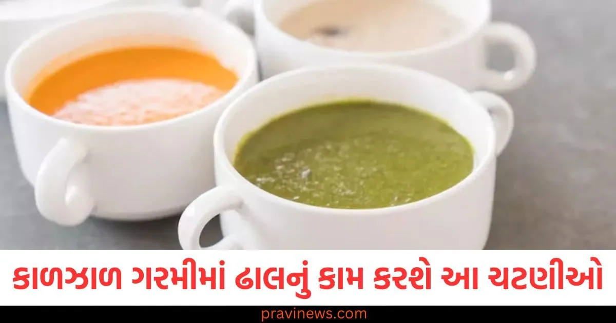 કાળઝાળ ગરમીમાં ઢાલનું કામ કરશે આ ચટણીઓ, ખાવાનો સ્વાદ પણ સુધરશે https://www.pravinews.com/technology/samsung-galaxy-a17-4g-affordable-phone-will-launched-soon-with-helio-g99-chip-125059