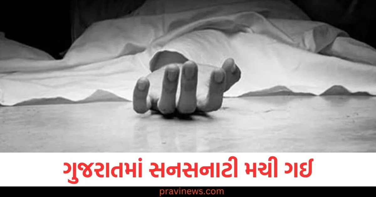 હાજી અયુબ અને સદ્દામ રિઝર્વ્ડ કોચમાં પ્રવેશ્યા, દિવ્યાંગ હિતેશે વાંધો ઉઠાવતા ચાલતી ટ્રેનમાંથી ફેંકી દીધો, ગુજરાતમાં સનસનાટી મચી ગઈ https://www.pravinews.com/gujarat-news/ed-arrests-bahubali-shah-of-gujarat-samachar-124837