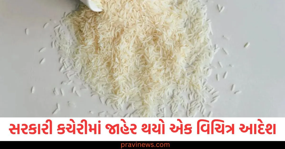 'કર્મચારીઓએ ભગવાનને બે મુઠ્ઠી ચોખા ચઢાવે', સરકારી કચેરીમાં જારી એક વિચિત્ર આદેશ; કારણ જાણો https://www.pravinews.com/politics/operation-sindoor-all-party-delegation-tmc-mp-sudip-bandyopadhyay-denied-tells-reason-125136