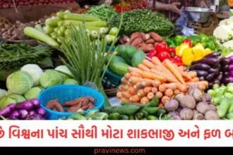 આ છે વિશ્વના પાંચ સૌથી મોટા શાકભાજી અને ફળ બજારો, દરેક વસ્તુ સસ્તા ભાવે મળે છે https://www.pravinews.com/ajab-gajab/this-bridge-is-one-of-the-scariest-bridges-in-the-world-2546
