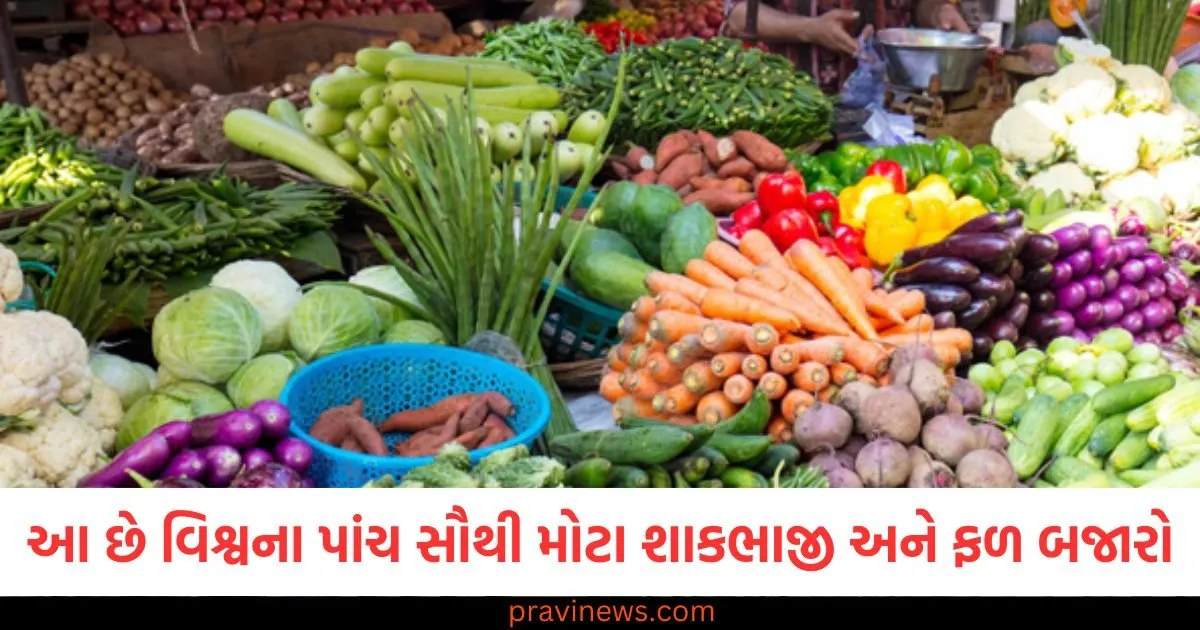 આ છે વિશ્વના પાંચ સૌથી મોટા શાકભાજી અને ફળ બજારો, દરેક વસ્તુ સસ્તા ભાવે મળે છે 1 આ છે વિશ્વના પાંચ સૌથી મોટા શાકભાજી અને ફળ બજારો, દરેક વસ્તુ સસ્તા ભાવે મળે છે https://www.pravinews.com/ajab-gajab/five-biggest-vegetable-and-fruit-markets-in-the-world-know-the-name-125080