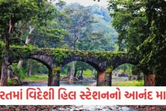 ભારતમાં વિદેશી હિલ સ્ટેશનનો આનંદ માણો, નાગપુર પાસે સ્વિટ્ઝર્લૅન્ડ જેવું સ્થળ છે https://www.pravinews.com/travel-news/nainital-tourists-started-reaching-the-mountains-to-welcome-the-new-year-79369