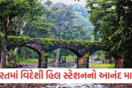 ભારતમાં વિદેશી હિલ સ્ટેશનનો આનંદ માણો, નાગપુર પાસે સ્વિટ્ઝર્લૅન્ડ જેવું સ્થળ છે https://www.pravinews.com/travel-news