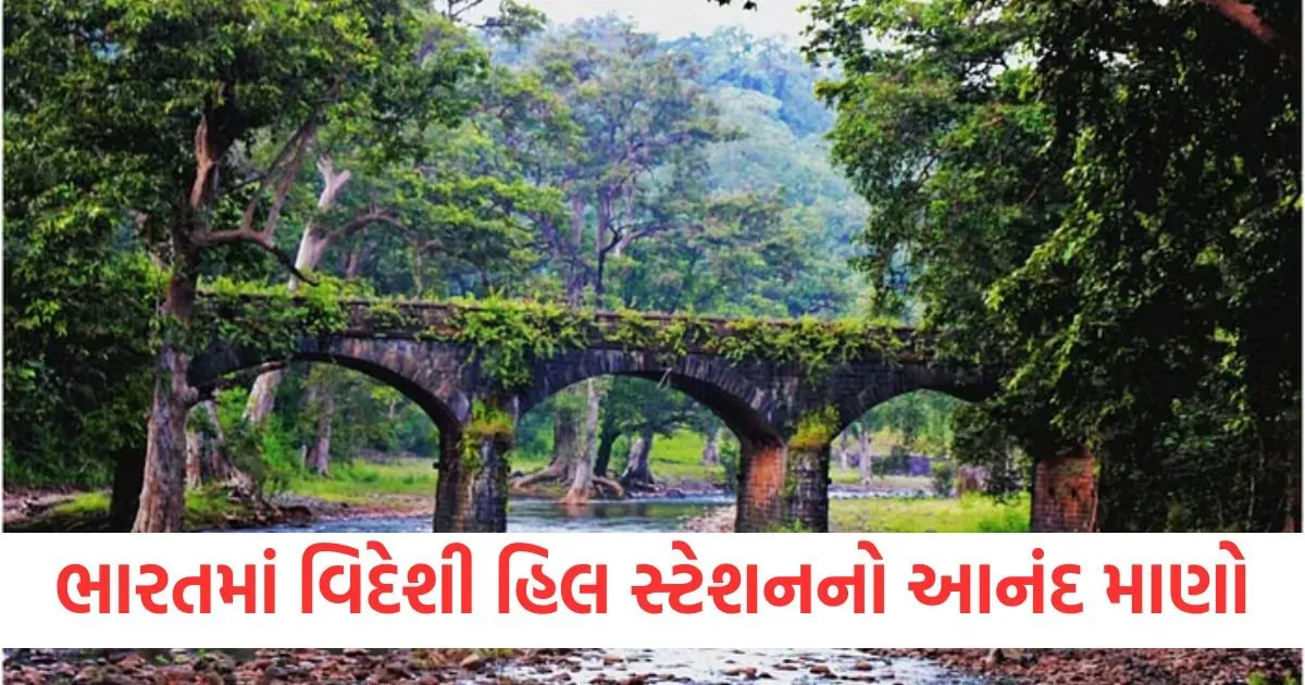 ભારતમાં વિદેશી હિલ સ્ટેશનનો આનંદ માણો, નાગપુર પાસે સ્વિટ્ઝર્લૅન્ડ જેવું સ્થળ છે https://www.pravinews.com/religion/astrology/vastu-tips-for-locker-placement-direction-at-home-for-prosperity-124498