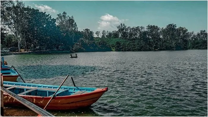 ભારતમાં વિદેશી હિલ સ્ટેશનનો આનંદ માણો, નાગપુર પાસે સ્વિટ્ઝર્લૅન્ડ જેવું સ્થળ છે 2 ભારતમાં વિદેશી હિલ સ્ટેશનનો આનંદ માણો, નાગપુર પાસે સ્વિટ્ઝર્લૅન્ડ જેવું સ્થળ છે https://www.pravinews.com/travel-news/foreign-like-hill-station-near-nagpur-chikhaldara-tourist-places-124445