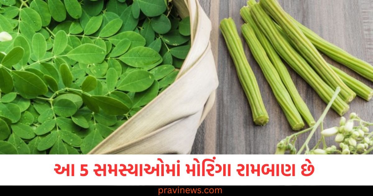 પુરુષોની આ 5 સમસ્યાઓ માટે મોરિંગા એક રામબાણ ઈલાજ છે, ફાયદા જાણીને તમે ચોંકી જશો https://www.pravinews.com/religion/astrology/aaj-ka-rashifal-5-may-2025-horoscope-today-lucky-zodiac-signs-from-aries-to-pisces-123711