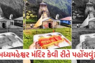 પંચ કેદારમાં સમાવિષ્ટ મધ્યમહેશ્વર મંદિર કેવી રીતે પહોંચવું? નજીકના ફરવાલાયક શ્રેષ્ઠ સ્થળ https://www.pravinews.com/travel-news/nainital-tourists-started-reaching-the-mountains-to-welcome-the-new-year-79369