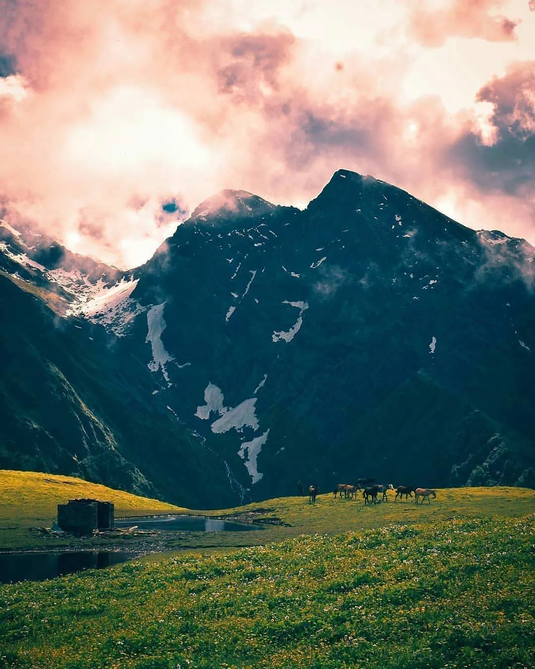 પંચ કેદારમાં સમાવિષ્ટ મધ્યમહેશ્વર મંદિર કેવી રીતે પહોંચવું? નજીકના ફરવાલાયક શ્રેષ્ઠ સ્થળ 3 પંચ કેદારમાં સમાવિષ્ટ મધ્યમહેશ્વર મંદિર કેવી રીતે પહોંચવું? નજીકના ફરવાલાયક શ્રેષ્ઠ સ્થળ https://www.pravinews.com/travel-news/how-to-reach-madhyamaheshwar-temple-and-best-places-124261