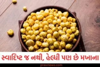 માત્ર સ્વાદિષ્ટ જ નથી, હેલ્ધી પણ છે મખાના ચાટ, બસ આ રીતે તૈયાર કરો https://www.pravinews.com/food/how-to-make-soft-tasty-dahi-vada-recipe-at-home-in-gujarati-129938