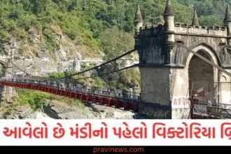 ક્યાં આવેલો છે મંડીનો પહેલો વિક્ટોરિયા બ્રિજ? 140 વર્ષ જૂનો છે ઈતિહાસ, જાણો રાજા વિજય સેન સાથે જોડાયેલા રહસ્ય https://www.pravinews.com/ajab-gajab/this-bridge-is-one-of-the-scariest-bridges-in-the-world-2546
