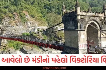ક્યાં આવેલો છે મંડીનો પહેલો વિક્ટોરિયા બ્રિજ? 140 વર્ષ જૂનો છે ઈતિહાસ, જાણો રાજા વિજય સેન સાથે જોડાયેલા રહસ્ય https://www.pravinews.com/ajab-gajab