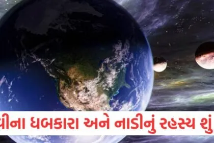 પૃથ્વીના ધબકારા અને નાડીનું રહસ્ય શું છે? જ્યારે ધરતીનું હૃદય ધબકે છે, ત્યારે સર્વનાશ આવે છે, જાણો ક્યારે આવશે https://www.pravinews.com/ajab-gajab