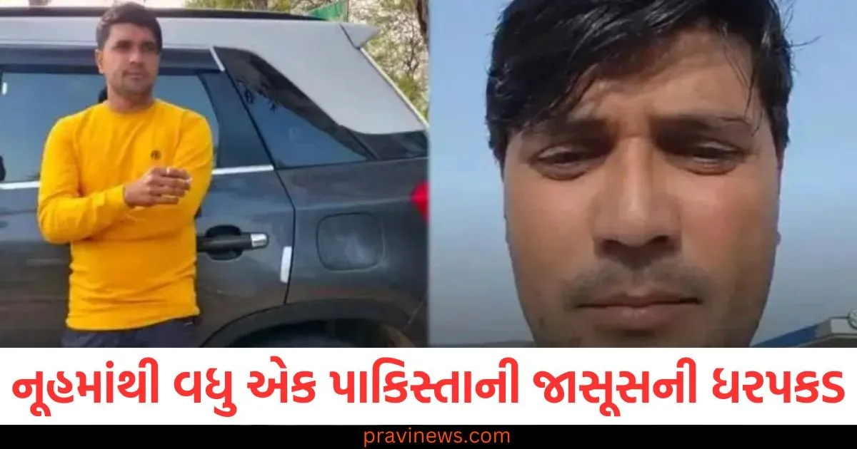 નૂહમાંથી વધુ એક પાકિસ્તાની જાસૂસની ધરપકડ, Whatsapp ચેટ્સમાંથી મળી આવ્યા દેશદ્રોહના પુરાવા https://www.pravinews.com/world-news-in-gujarati/big-action-by-security-forces-in-manipur-more-than-350-extortionists-have-been-arrested-so-far-125161