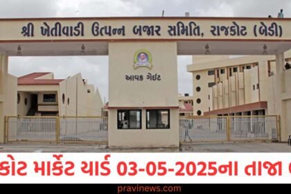 રાજકોટ માર્કેટ યાર્ડ આજના ભાવ | Rajkot APMC Market Price Today 03-05-2025 https://www.pravinews.com/gujarat-news/rajkot-news