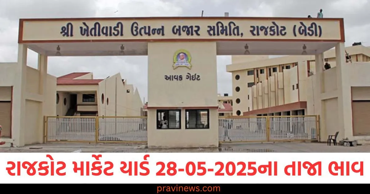 રાજકોટ માર્કેટ યાર્ડ આજના ભાવ | Rajkot APMC Market Price Today 28-05-2025 https://www.pravinews.com/gujarat-news/rajkot-news/rajkot-apmc-market-price-today-live-updates-28-05-2025-125958