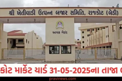 રાજકોટ માર્કેટ યાર્ડ આજના ભાવ | Rajkot APMC Market Price Today 31-05-2025 https://www.pravinews.com/gujarat-news/rajkot-news