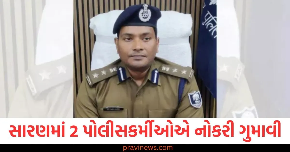 સારણમાં 2 પોલીસકર્મીઓએ નોકરી ગુમાવી, એક ભૂલ મોંઘી સાબિત થઈ, SSPની કાર્યવાહીથી વિભાગમાં ખળભળાટ મચી ગયો https://www.pravinews.com/politics/jdu-leader-kc-tyagi-got-angry-at-rahul-gandhi-allegations-gave-full-support-to-jaishankar-125705