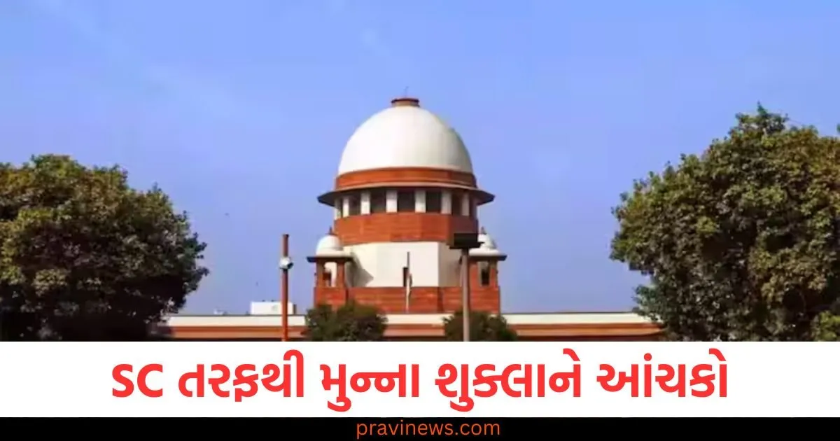 SC તરફથી મુન્ના શુક્લાને આંચકો, પૂર્વ મંત્રી બ્રિજ બિહારી હત્યા કેસમાં આજીવન કેદ યથાવત https://www.pravinews.com/sports/josh-hazlewood-to-return-to-india-to-help-rcb-win-maiden-ipl-kkr-assemble-full-squad-for-playoff-qualification-124761