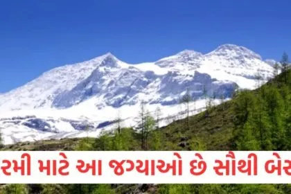 ઉનાળાની ગરમી માટે આ જગ્યાઓ છે સૌથી બેસ્ટ, સુંદરતા જોઈ તમે તેમાં ખોવાઈ જશો https://www.pravinews.com/travel-news