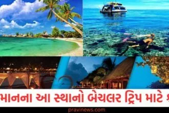 અંદમાનના આ સ્થાનો બેચલર ટ્રિપ માટે શ્રેષ્ઠ, એક વાર અવશ્ય એક્સપ્લોર કરો https://www.pravinews.com/travel-news/nainital-tourists-started-reaching-the-mountains-to-welcome-the-new-year-79369