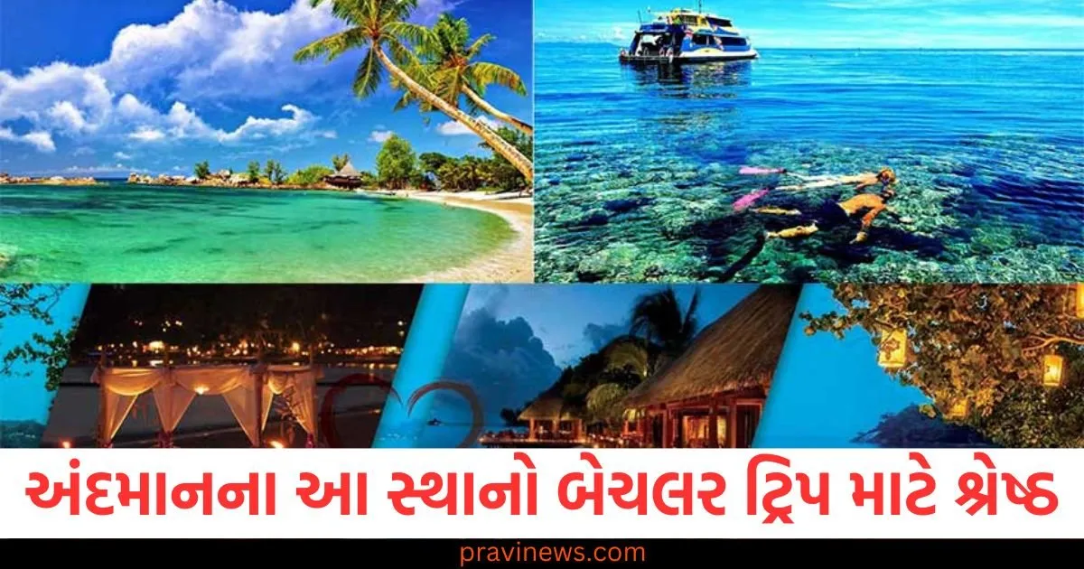 અંદમાનના આ સ્થાનો બેચલર ટ્રિપ માટે શ્રેષ્ઠ, એક વાર અવશ્ય એક્સપ્લોર કરો https://www.pravinews.com/automobile/types-of-gearbox-transmission-in-car-pros-and-cons-explained-124670