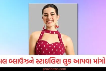 સિમ્પલ બ્લાઉઝને સ્ટાઇલિશ લુક આપવા માંગો છો? આ 4 સ્માર્ટ હેક્સ કામ આવશે https://www.pravinews.com/lifestyle/fashion-news