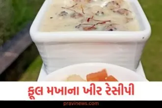 તમારા આહારમાં મખાના ખીરનો સમાવેશ કરો અને જાદુ જુઓ https://www.pravinews.com/food/how-to-make-soft-tasty-dahi-vada-recipe-at-home-in-gujarati-129938