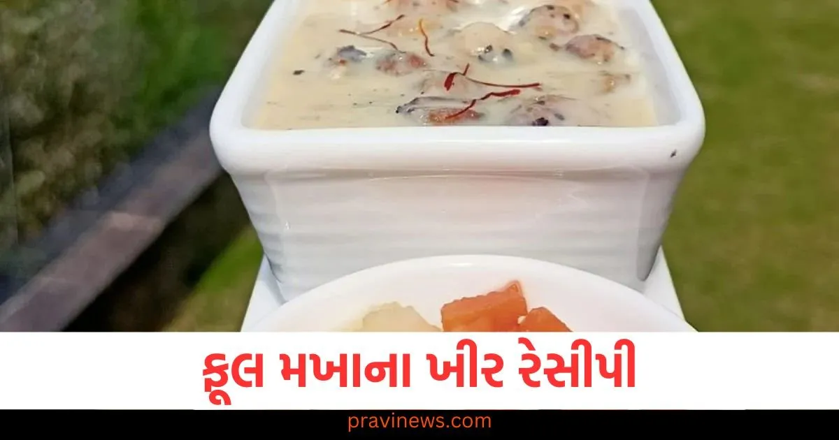 તમારા આહારમાં મખાના ખીરનો સમાવેશ કરો અને જાદુ જુઓ https://www.pravinews.com/technology/iphone-17-series-launch-expected-features-design-changes-and-release-126253