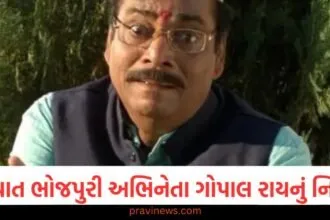 પ્રખ્યાત ભોજપુરી અભિનેતા ગોપાલ રાયનું નિધન, નિરહુઆ-પવન સિંહ સાથે કામ કર્યું હતું https://www.pravinews.com/entertainment/saiyaara-movie-lead-actors-who-is-ahaan-panday-and-aneet-padda-know-128052