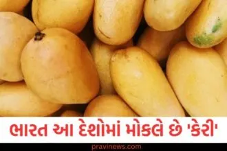 ભારત આ દેશોમાં મોકલે છે 'કેરી', આ મુસ્લિમ દેશ છે આ યાદીમાં ટોચ પર https://www.pravinews.com/ajab-gajab/this-bridge-is-one-of-the-scariest-bridges-in-the-world-2546