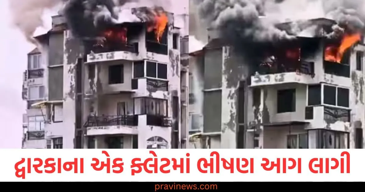 દ્વારકાના એક ફ્લેટમાં ભીષણ આગ લાગી, ઘણા લોકો ફસાયા હોવાની આશંકા, પિતાએ બે બાળકો સાથે કૂદી પડ્યા https://www.pravinews.com/world-news-in-gujarati/rahul-gandhi-army-dispute-politics-on-indian-army-controversy-over-rahul-gandhi-statement-126941